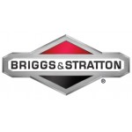 Briggs & Stratton