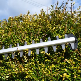 Cobra HT550E 55cm/22” Electric Hedgetrimmer